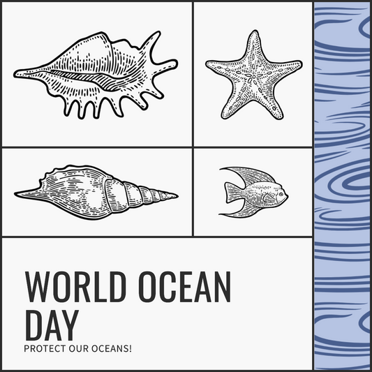 Celebrating World Ocean Day with Hemp: Transforming Ocean Waste Management! 🌎🌿