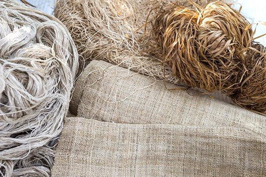 Why Hemp Is the Fabric of the Future