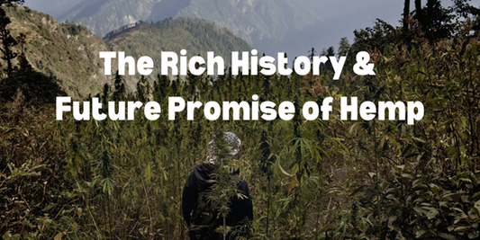 The Rich History and Future Promise of Hemp